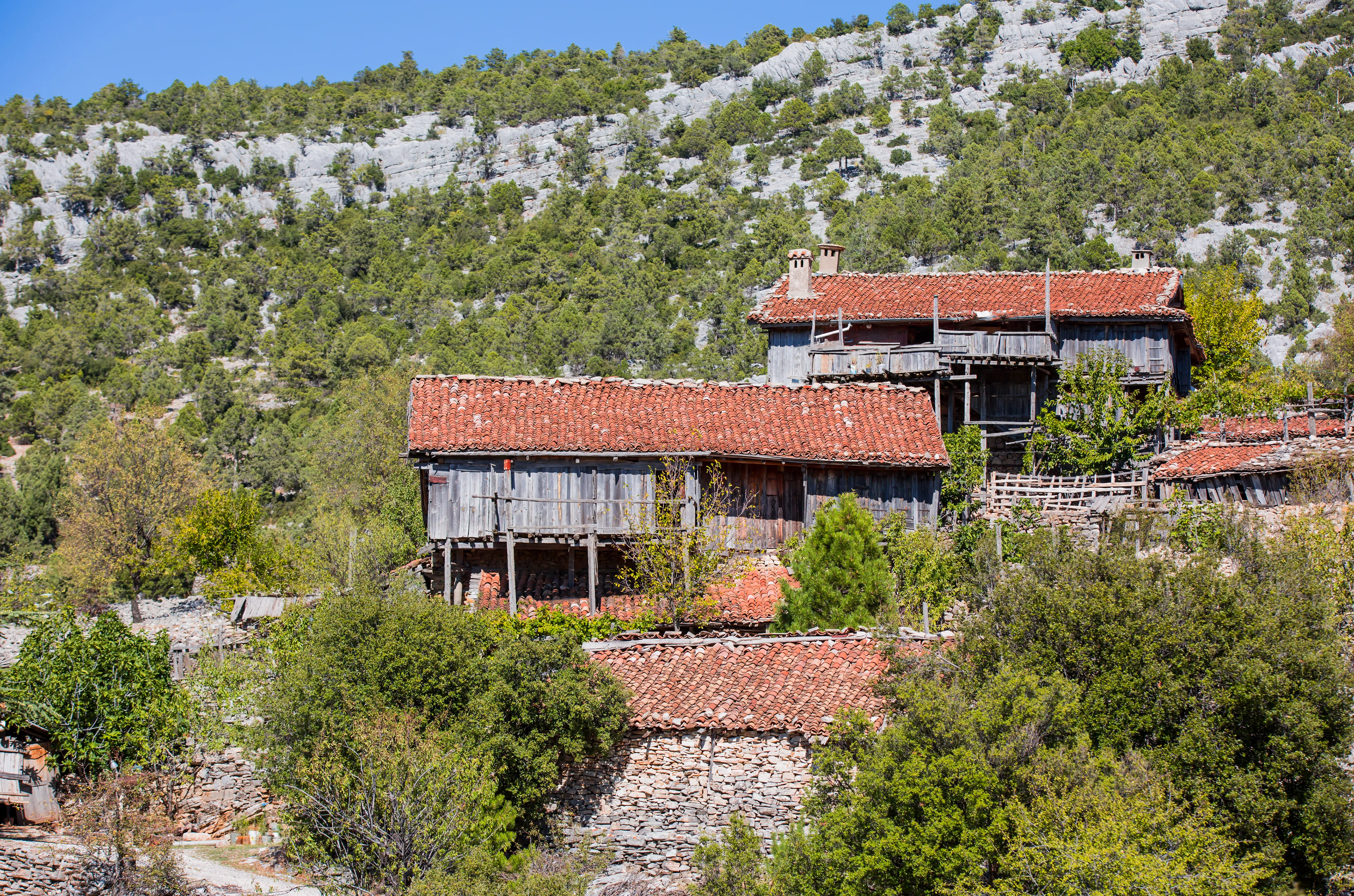 Ormana Active Doğan Mansion
